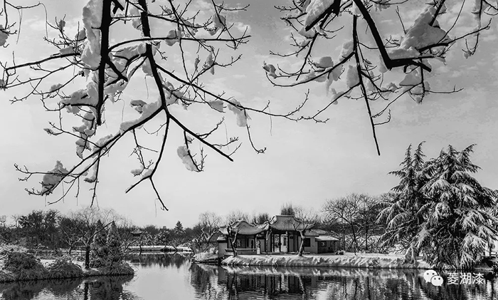 說好的暴雪傾城，是這樣嗎？